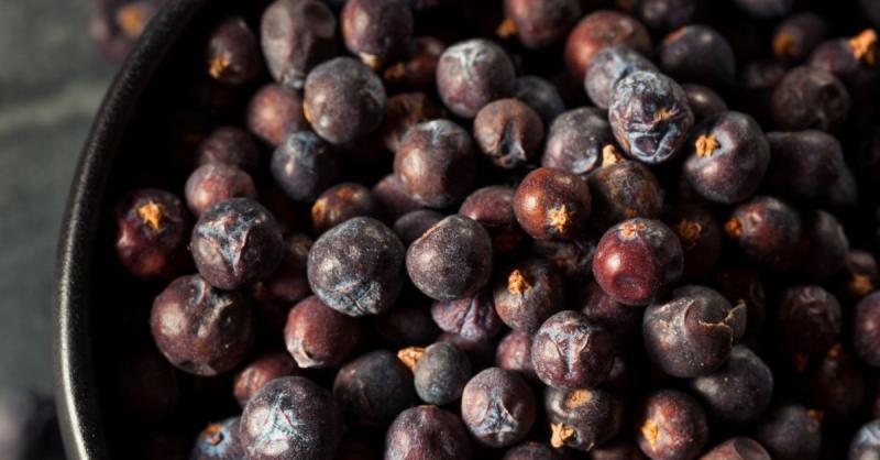 Andız Bitkisinin Özellikleri ve Faydaları Nelerdir?