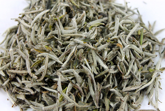 Beyaz Çay Kullanımı ve Faydaları Nelerdir?