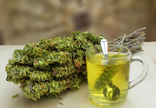 Dağ Çayı Kullanımı ve Faydaları Nelerdir?